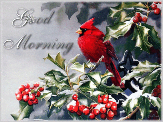 Good Morning Good Morning