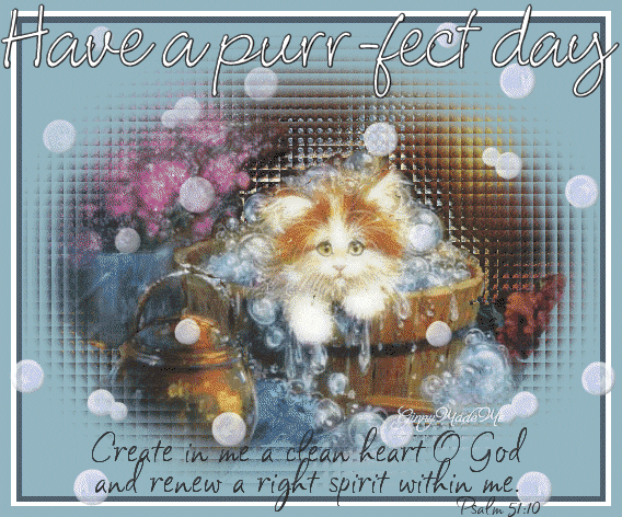 Have a Purr-fect day