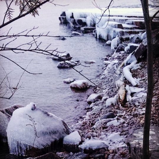 Icy Winter