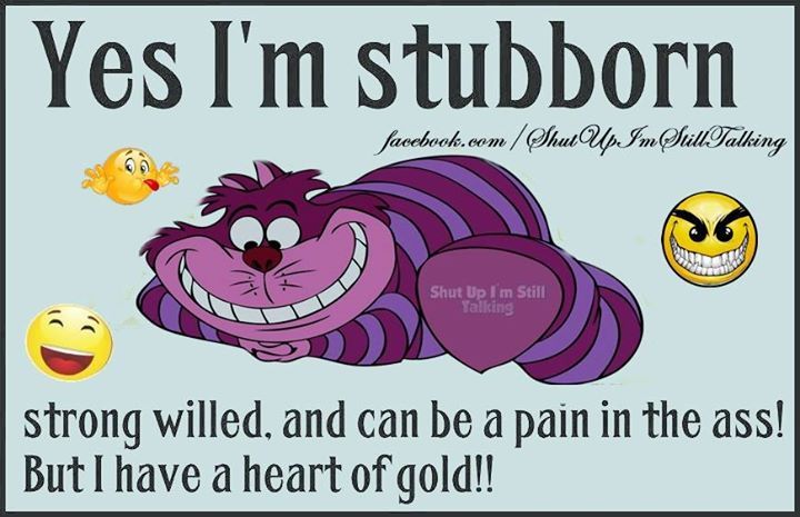 Yes I'm Stubborn