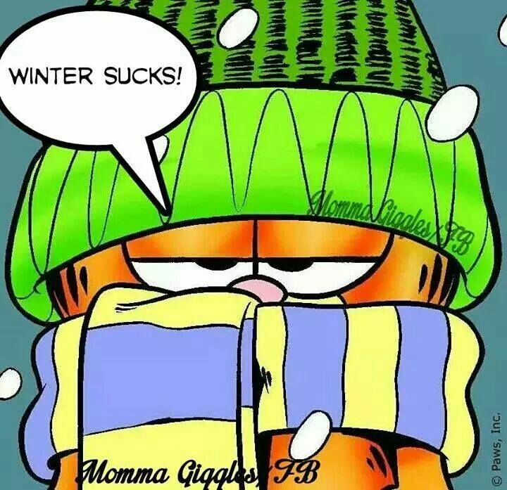 Winter Sucks Winter Sucks