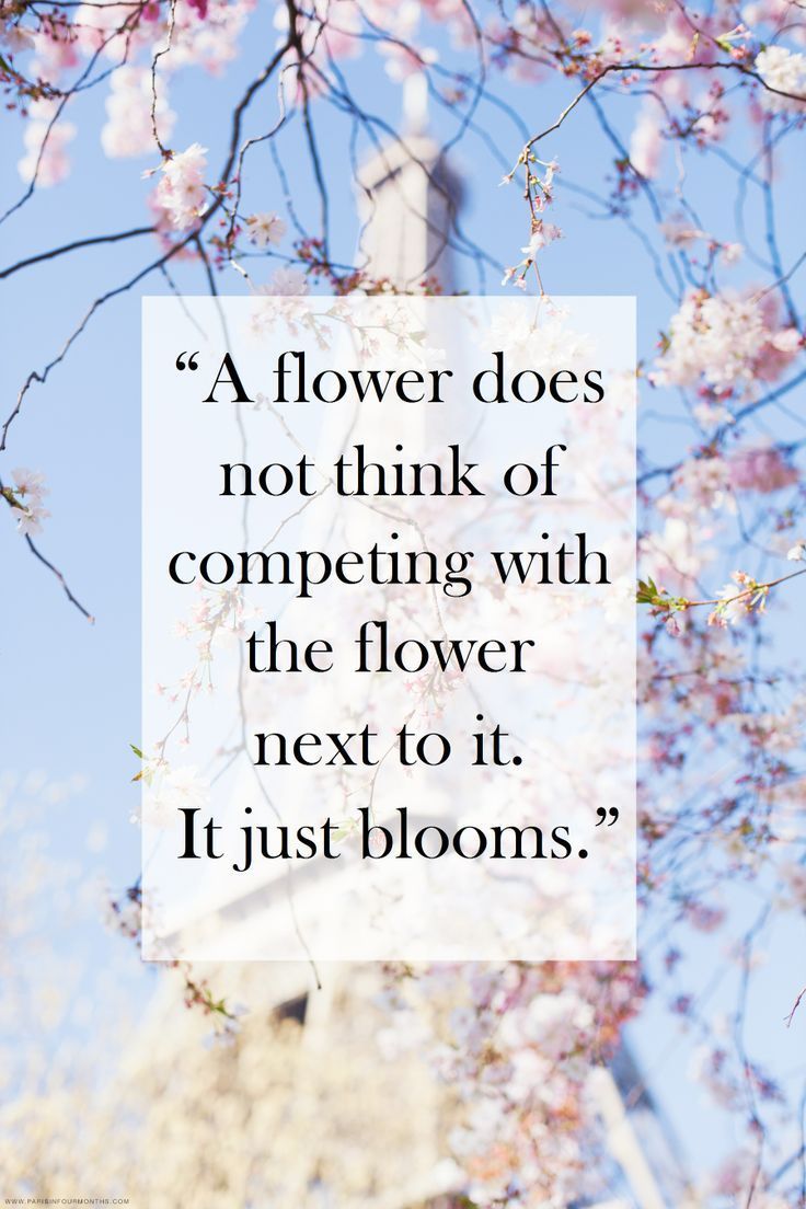 Just Bloom Just Bloom