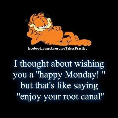 Happy Monday Happy Monday