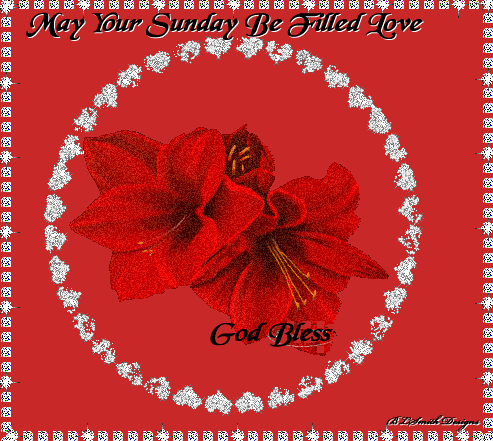 May your Sunday be filled with Love - God Bless May your Sunday be filled with Love - God Bless