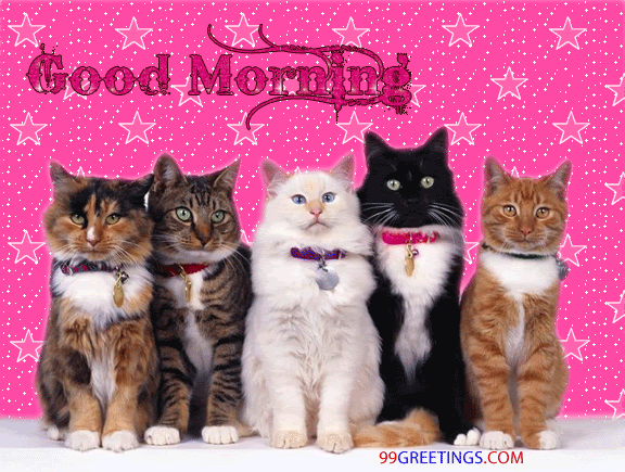 Good Morning
