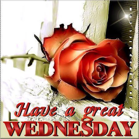 Have a great Wednesday Have a great Wednesday