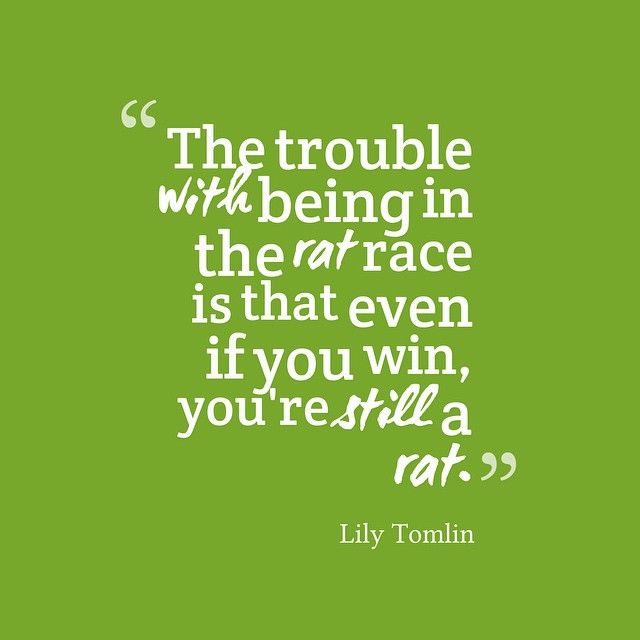 The trouble with being in the rat race The trouble with being in the rat race