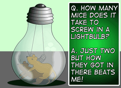Mice? Mice?