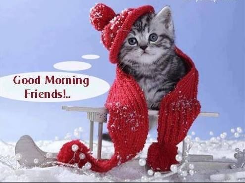Good Morning Friends Good Morning Friends