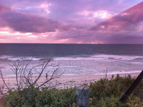 Purple Sunset