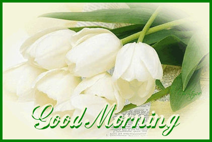 Good Morning Good Morning