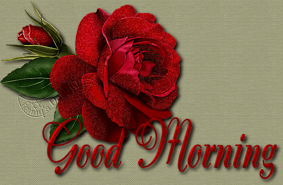 Good Morning