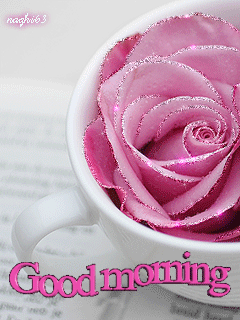 Good Morning