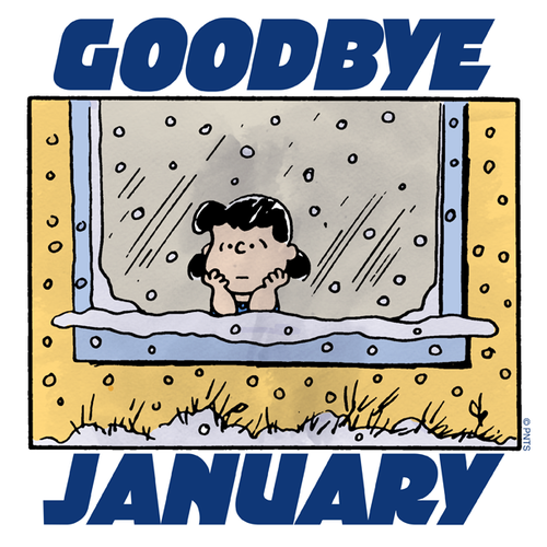 Goodbye January Goodbye January