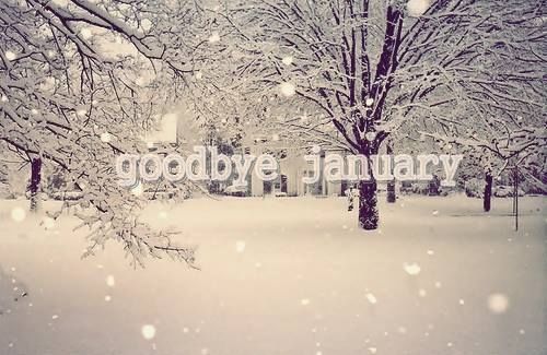Goodbye January Goodbye January