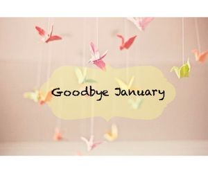 Goodbye January Goodbye January