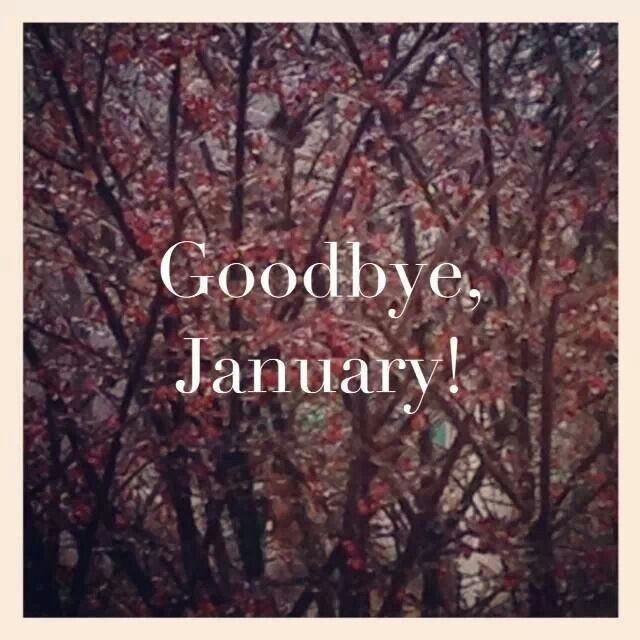 Goodbye January Goodbye January