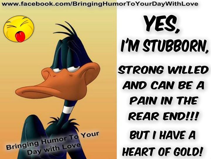 Yes I'm Stubborn