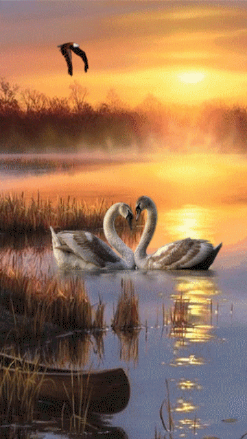 Sunset on Swan Lake