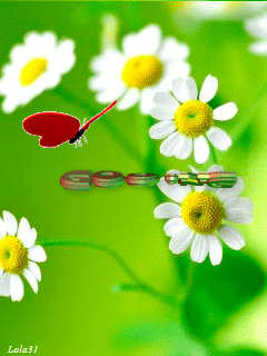 Good Morning Good Morning