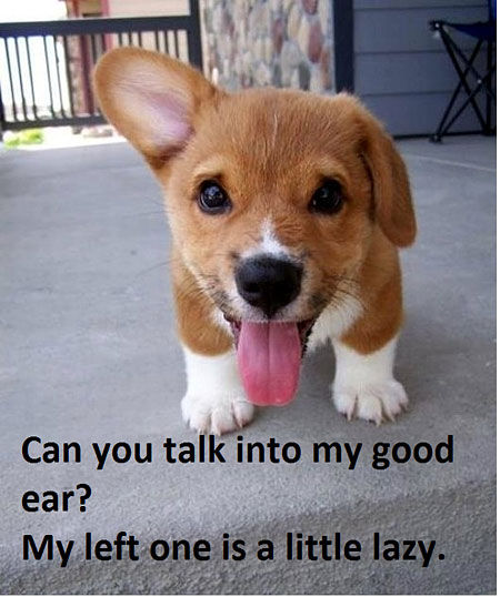 Listen Listen