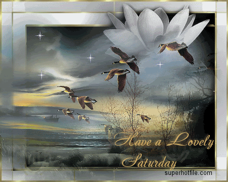 Have a lovely Saturday Have a lovely Saturday