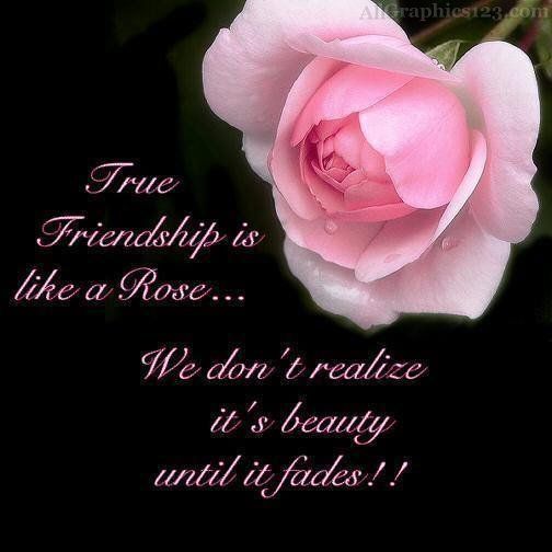 True Friendship is like a rose....