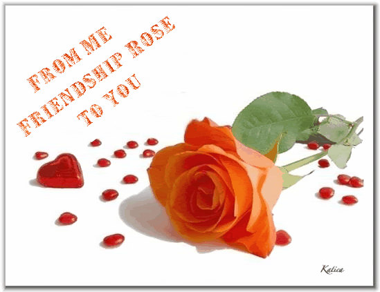 From Me Friendship Rose to You