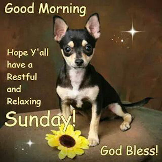 Good Morning Sunday Good Morning Sunday
