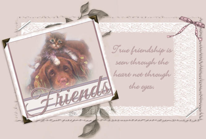 True friendship is seen through the heart.... True friendship is seen through the heart....