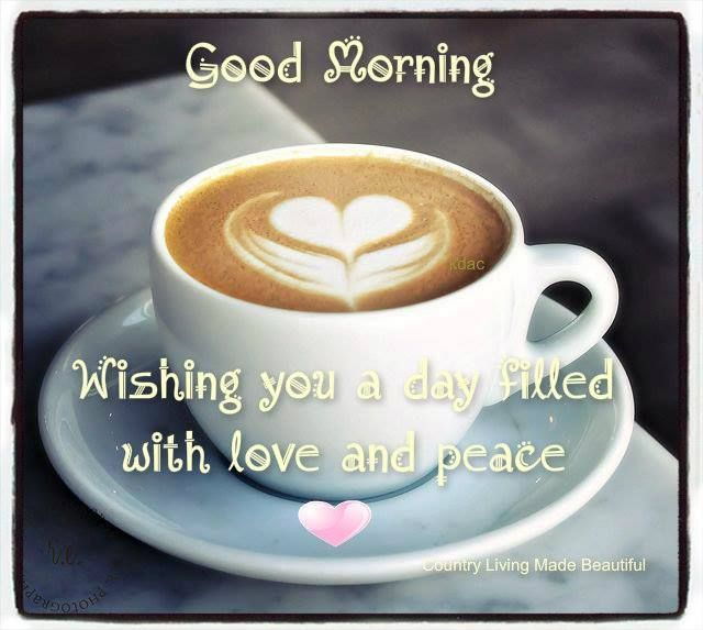 Good Morning Good Morning
