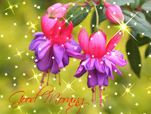 Good Morning