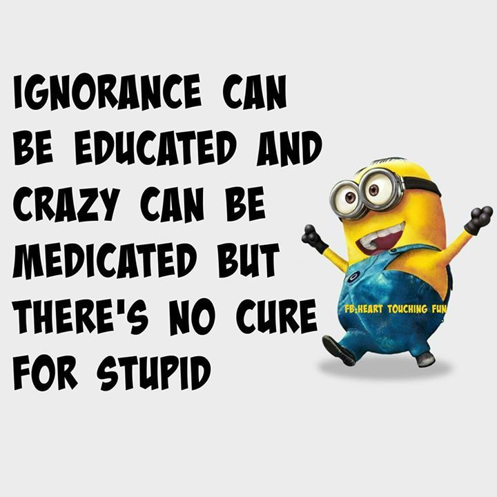 No cure for stupid