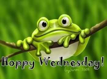 Happy Wednesday