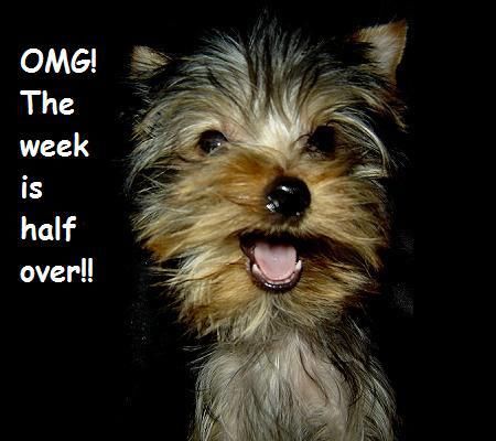 The week is half over The week is half over