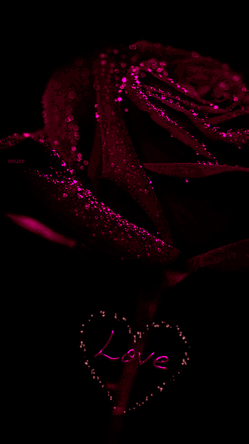 Red Rose Glittered with Love