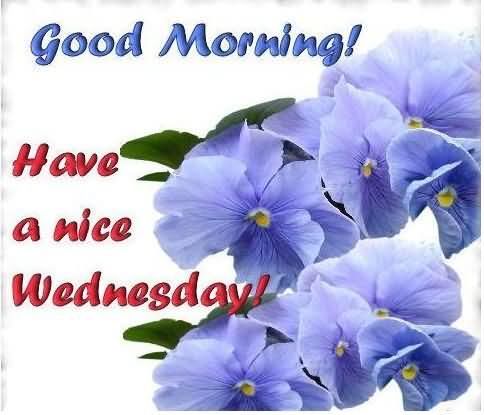Good Morning Have a Nice Wednesday Good Morning Have a Nice Wednesday