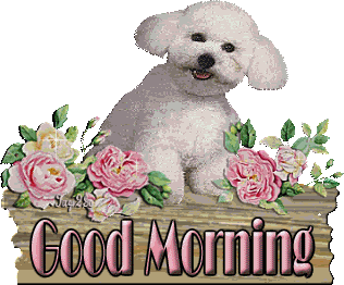 Good Morning
