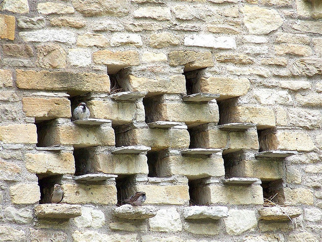 Close up of Built-In Bird Niches (Nests) on a Historical English Cottage