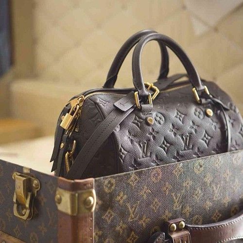 Louis Vuitton Bag