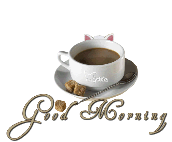Good Morning Good Morning