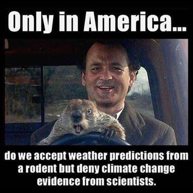 Only in America Only in America