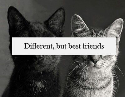 Different but best friends Different but best friends