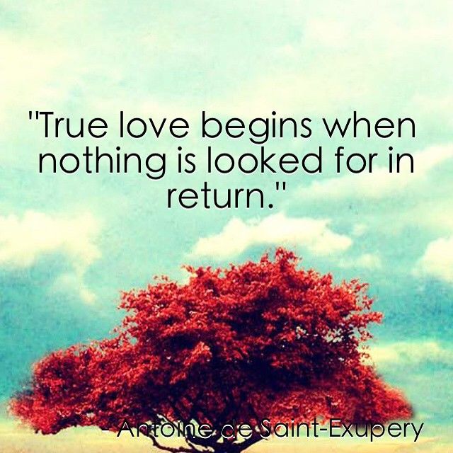 True Love True Love