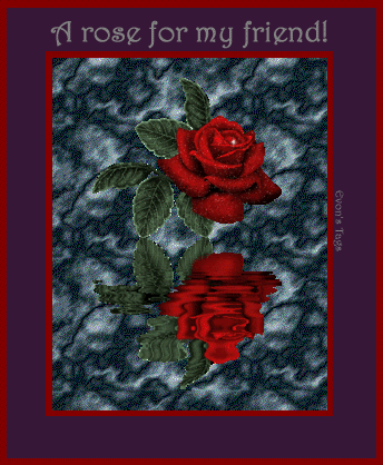 A rose for my friend