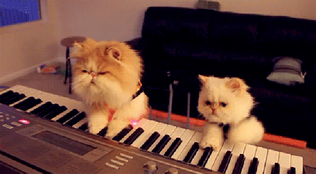 KItty Duet KItty Duet