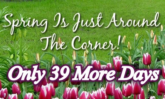 39 Days Until Spring 39 Days Until Spring