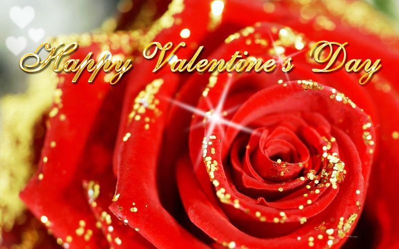Happy Valentines Day Rose