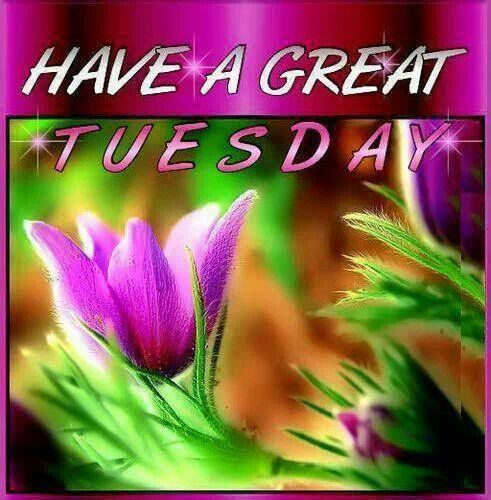 Have a great Tuesday