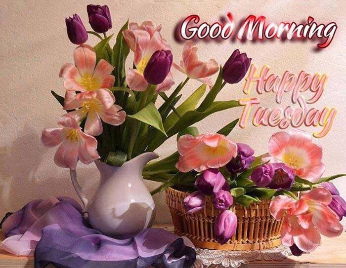 Good Morning Happy Tuesday